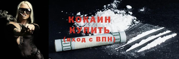 a pvp Новодвинск