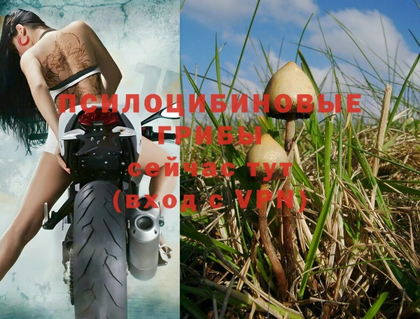дурь Нефтекумск