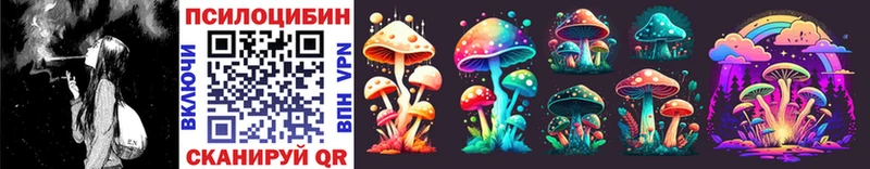 Псилоцибиновые грибы Psilocybe  купить закладку  Николаевск-на-Амуре 